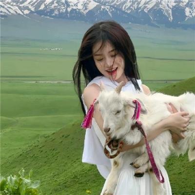 暮暮朝朝梨花落